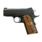 KIMBER-MICRO380-RAPTOR-3300087