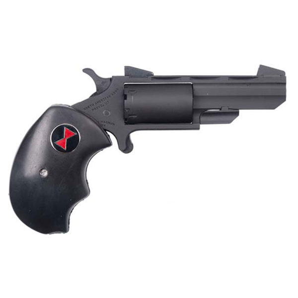 NAA-22-MAG-BWM