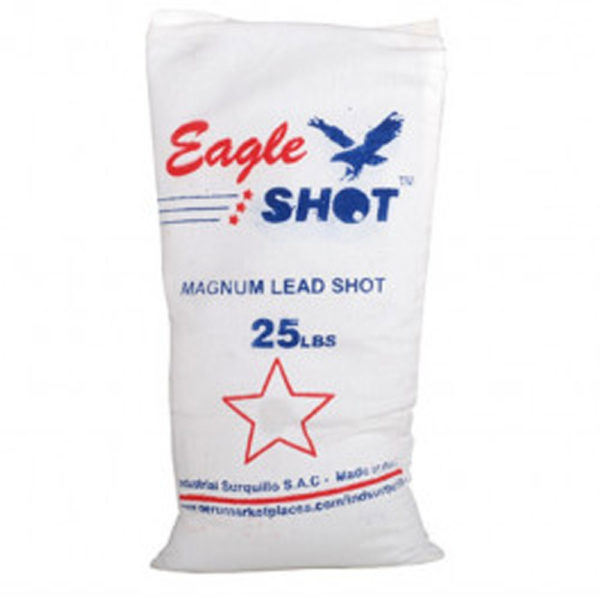 eagle_shot