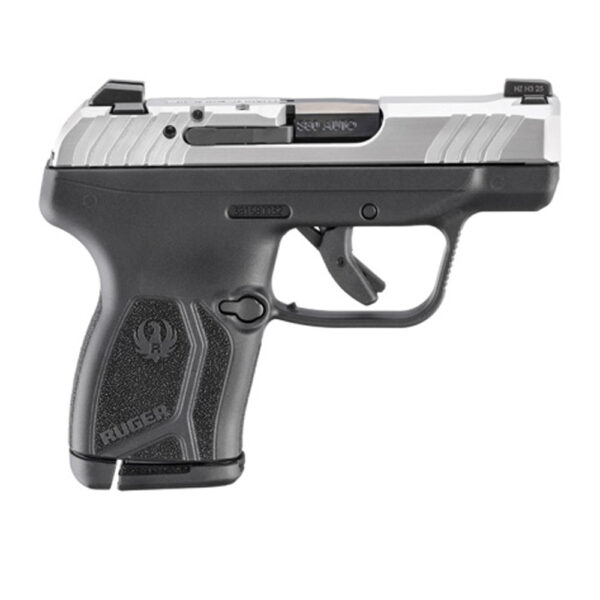RUGER LCP MAX- 13754